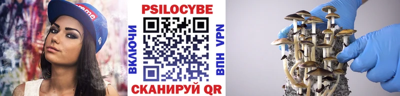 Псилоцибиновые грибы Psilocybe  где купить   Анжеро-Судженск 