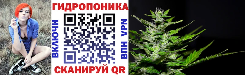магазин продажи Анжеро-Судженск Бошки Шишки тримм